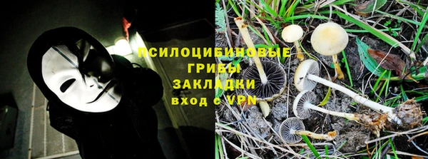 мяу мяу кристалл Бородино